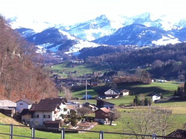 Seebrise Faulensee Exterior photo